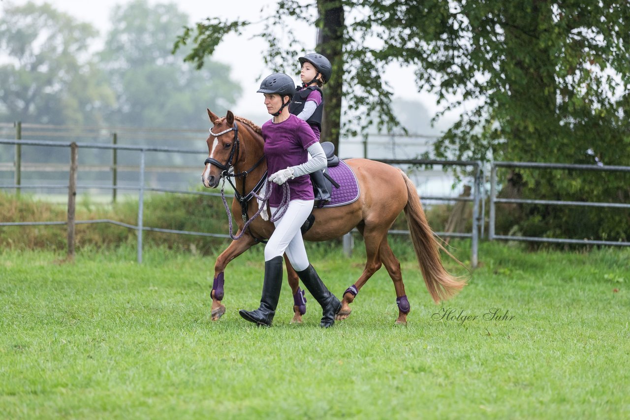 Bild 13 - Pony Akademie Turnier